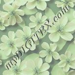 Colour:K
