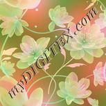 Colour:B