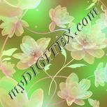 Colour:C
