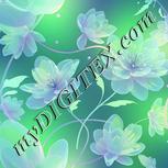 Colour:D