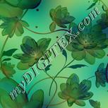 Colour:F