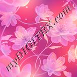 Colour:J