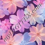 Colour:A