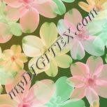 Colour:B