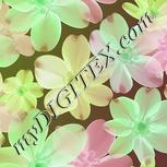 Colour:C