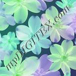 Colour:D