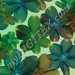 Colour:F