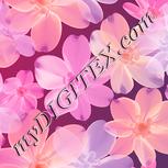 Colour:J