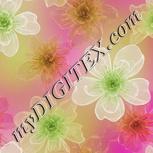 Colour:C