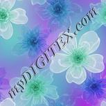 Colour:D