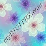 Colour:K