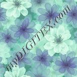 Colour:K
