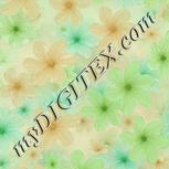 Colour:B