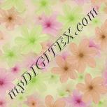 Colour:C