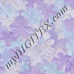 Colour:A