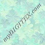 Colour:K