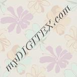 Colour:F