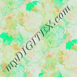 Colour:F