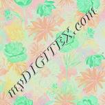 Colour:F
