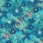 Colour:F