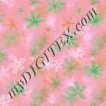 Colour:B