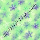 Colour:D
