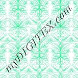 Colour:F