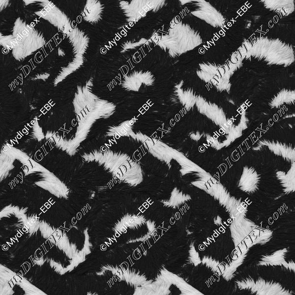EBE 0005807