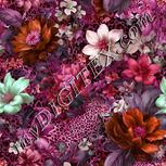 Colour:B