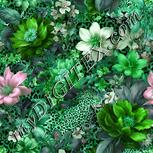 Colour:C