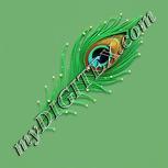 Colour:K