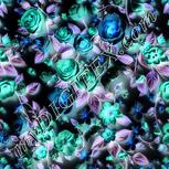 Colour:F