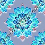 Colour:F