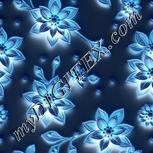 Colour:F