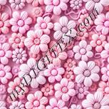 Colour:B