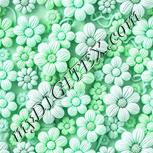 Colour:C