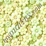 Colour:K