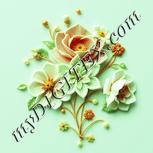 Colour:K