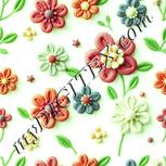 Colour:K