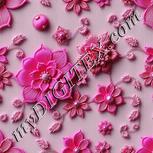 Colour:B
