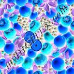 Colour:F