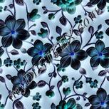 Colour:F