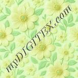 Colour:K