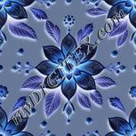 Colour:F