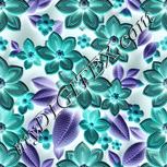 Colour:F
