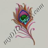 Colour:B