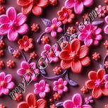 Colour:B