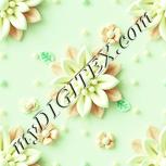 Colour:K