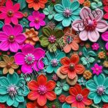 Colour:B
