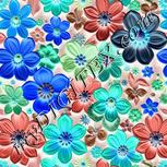 Colour:F